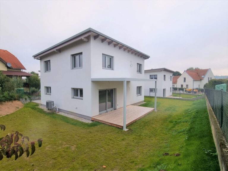 Einfamilienhaus in Holzbauweise – Ansicht 1
